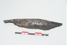 Foto von Eisengriffangelmesser (NHMW-PRAE-024041)